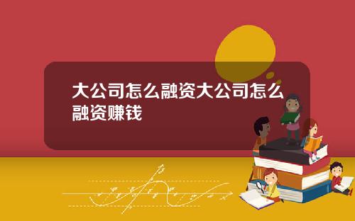 大公司怎么融资大公司怎么融资赚钱