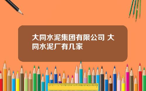 大同水泥集团有限公司 大同水泥厂有几家