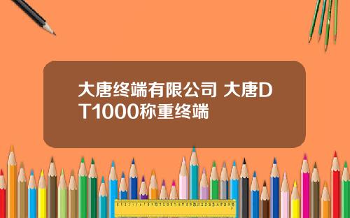 大唐终端有限公司 大唐DT1000称重终端