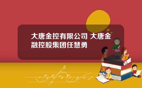 大唐金控有限公司 大唐金融控股集团任慧勇