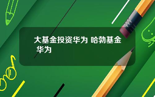 大基金投资华为 哈勃基金 华为