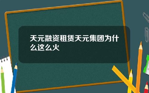 天元融资租赁天元集团为什么这么火