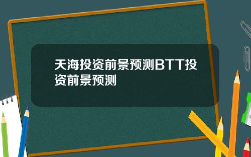 天海投资前景预测BTT投资前景预测