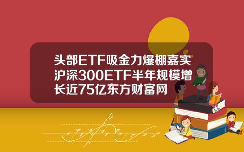 头部ETF吸金力爆棚嘉实沪深300ETF半年规模增长近75亿东方财富网
