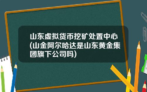 山东虚拟货币挖矿处置中心(山金阿尔哈达是山东黄金集团旗下公司吗)