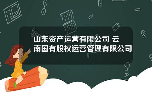 山东资产运营有限公司 云南国有股权运营管理有限公司
