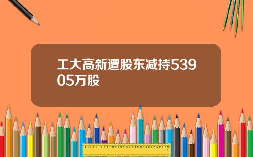 工大高新遭股东减持53905万股