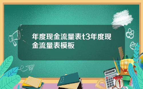 年度现金流量表t3年度现金流量表模板