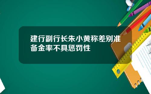 建行副行长朱小黄称差别准备金率不具惩罚性