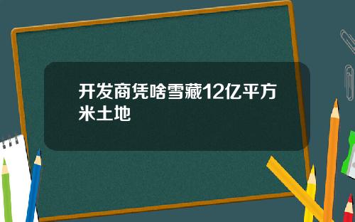 开发商凭啥雪藏12亿平方米土地
