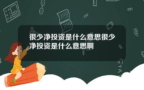 很少净投资是什么意思很少净投资是什么意思啊