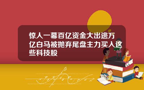 惊人一幕百亿资金大出逃万亿白马被抛弃尾盘主力买入这些科技股