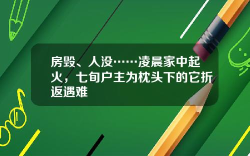 房毁、人没……凌晨家中起火，七旬户主为枕头下的它折返遇难