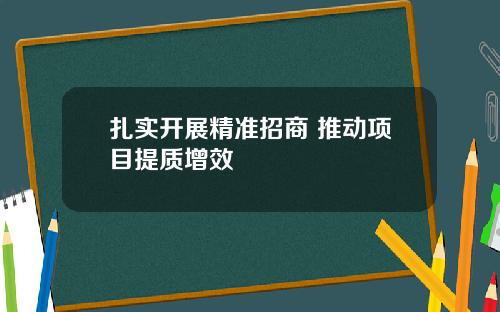 扎实开展精准招商 推动项目提质增效