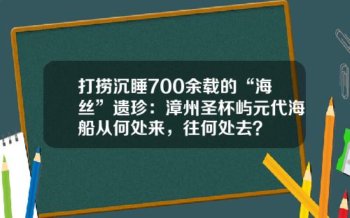 打捞沉睡700余载的“海丝”遗珍：漳州圣杯屿元代海船从何处来，往何处去？