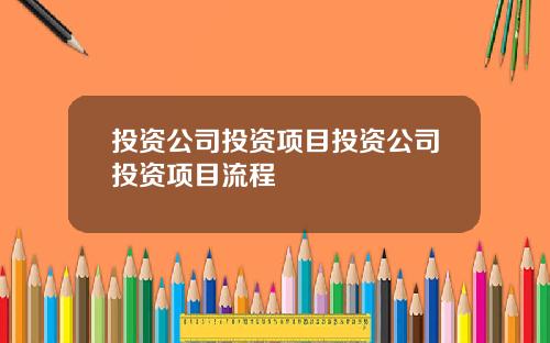 投资公司投资项目投资公司投资项目流程