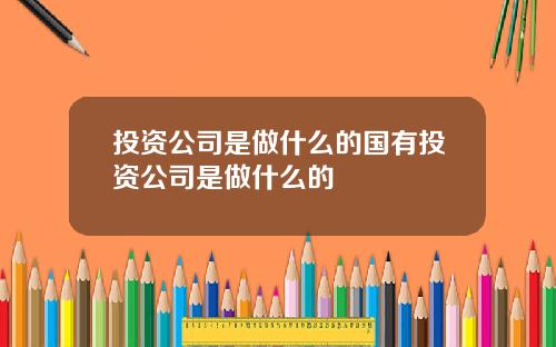 投资公司是做什么的国有投资公司是做什么的