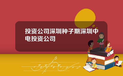 投资公司深圳种子期深圳中电投资公司