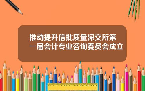推动提升信批质量深交所第一届会计专业咨询委员会成立