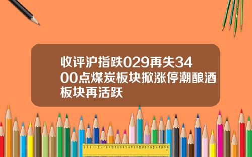 收评沪指跌029再失3400点煤炭板块掀涨停潮酿酒板块再活跃