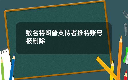 数名特朗普支持者推特账号被删除