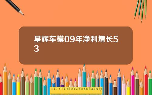 星辉车模09年净利增长53