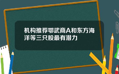 机构推荐鄂武商A和东方海洋等三只股最有潜力