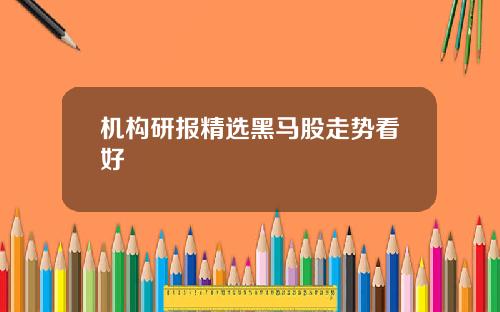 机构研报精选黑马股走势看好