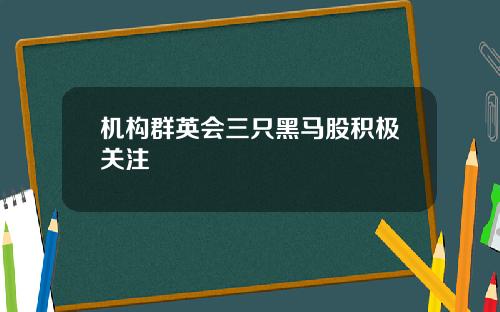 机构群英会三只黑马股积极关注