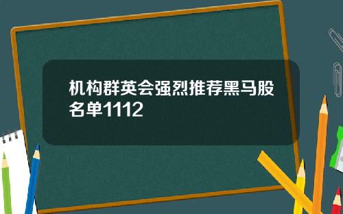 机构群英会强烈推荐黑马股名单1112