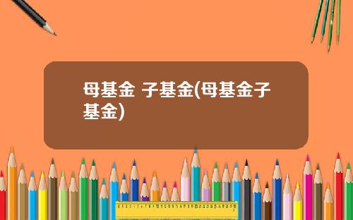 母基金 子基金(母基金子基金)