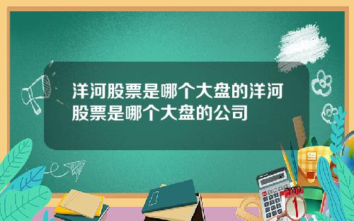 洋河股票是哪个大盘的洋河股票是哪个大盘的公司