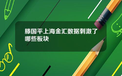 滕国平上海金汇数据刺激了哪些板块
