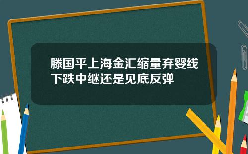 滕国平上海金汇缩量弃婴线下跌中继还是见底反弹