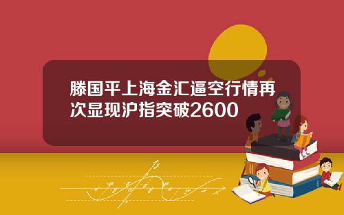 滕国平上海金汇逼空行情再次显现沪指突破2600