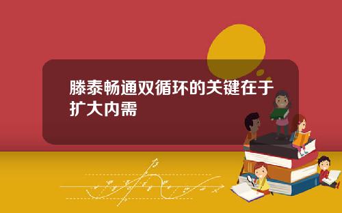 滕泰畅通双循环的关键在于扩大内需