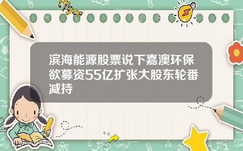 滨海能源股票说下嘉澳环保欲募资55亿扩张大股东轮番减持
