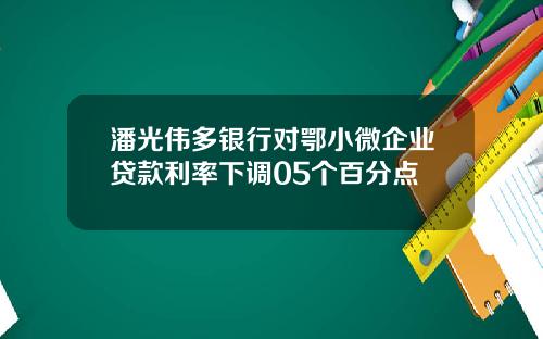 潘光伟多银行对鄂小微企业贷款利率下调05个百分点