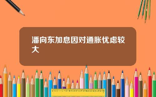 潘向东加息因对通胀忧虑较大