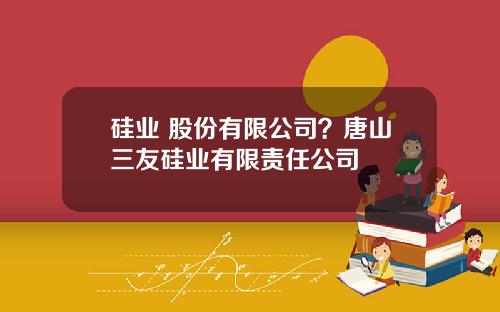 硅业 股份有限公司？唐山三友硅业有限责任公司