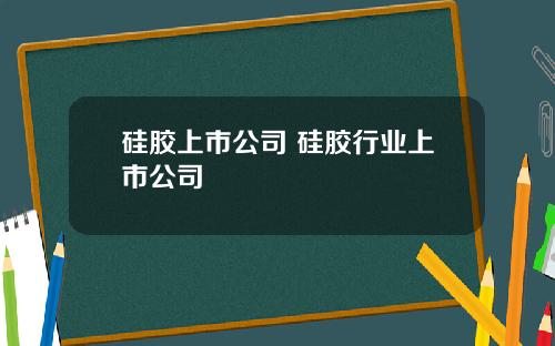 硅胶上市公司 硅胶行业上市公司