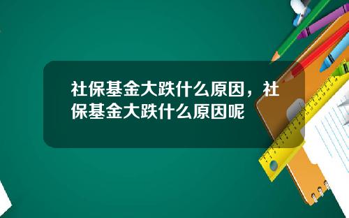 社保基金大跌什么原因，社保基金大跌什么原因呢