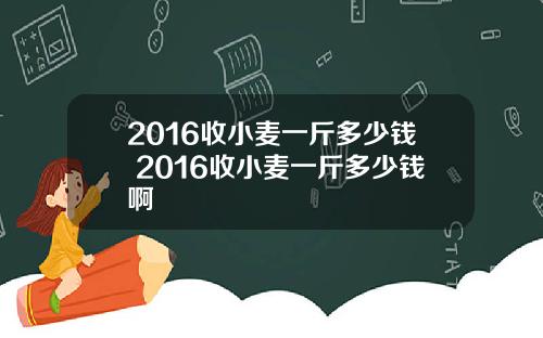 2016收小麦一斤多少钱 2016收小麦一斤多少钱啊
