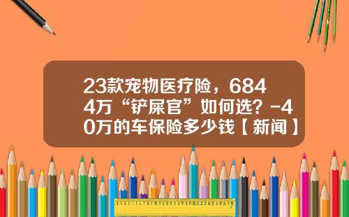 23款宠物医疗险，6844万“铲屎官”如何选？-40万的车保险多少钱【新闻】.