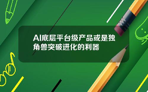 AI底层平台级产品或是独角兽突破进化的利器