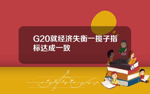G20就经济失衡一揽子指标达成一致