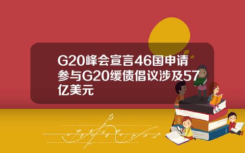 G20峰会宣言46国申请参与G20缓债倡议涉及57亿美元