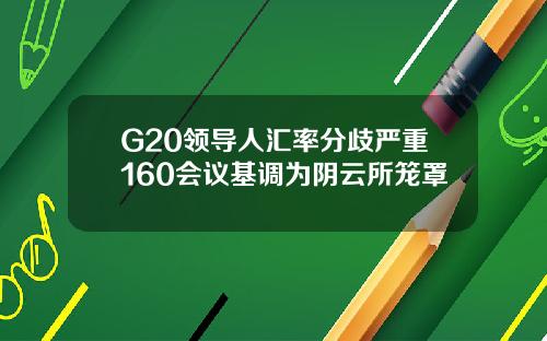 G20领导人汇率分歧严重160会议基调为阴云所笼罩