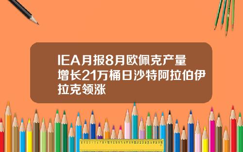 IEA月报8月欧佩克产量增长21万桶日沙特阿拉伯伊拉克领涨