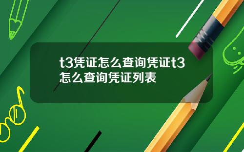 t3凭证怎么查询凭证t3怎么查询凭证列表